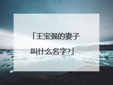 王宝强的妻子叫什么名字?