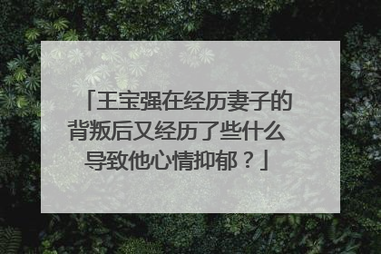 王宝强在经历妻子的背叛后又经历了些什么导致他心情抑郁？