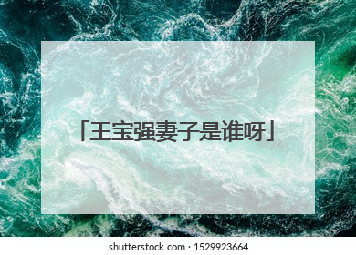 王宝强妻子是谁呀