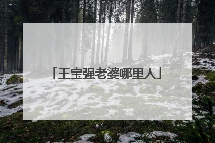 王宝强老婆哪里人