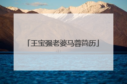 王宝强老婆马蓉简历