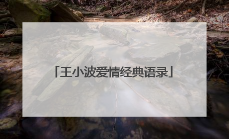 王小波爱情经典语录