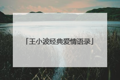 王小波经典爱情语录