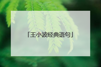 王小波经典语句