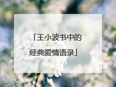 王小波书中的经典爱情语录