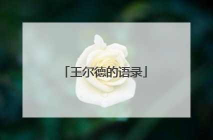 王尔德的语录