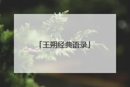 王朔经典语录