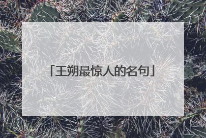 王朔最惊人的名句