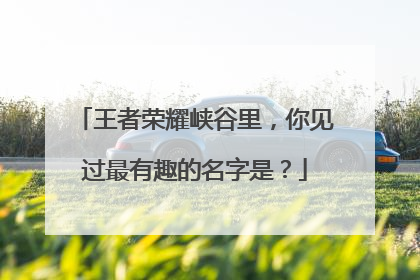 王者荣耀峡谷里，你见过最有趣的名字是？