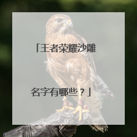 王者荣耀沙雕名字有哪些？