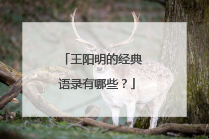 王阳明的经典语录有哪些？