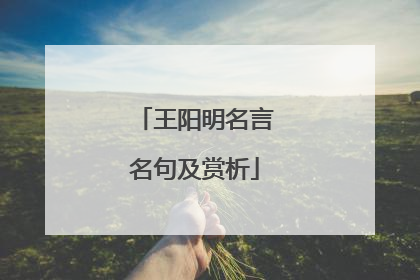 王阳明名言名句及赏析