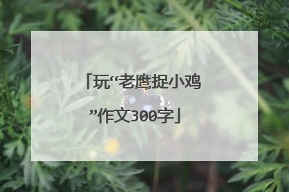 玩“老鹰捉小鸡”作文300字