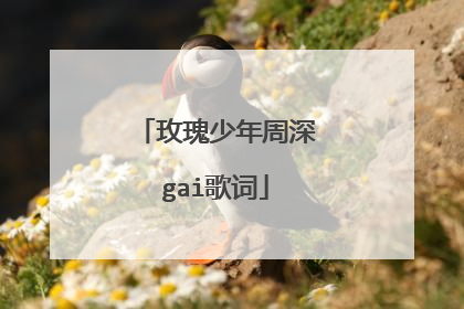 玫瑰少年周深gai歌词