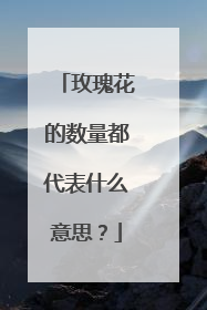 玫瑰花的数量都代表什么意思？