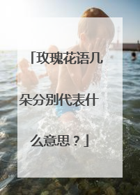 玫瑰花语几朵分别代表什么意思？