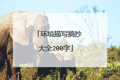 环境描写摘抄大全200字