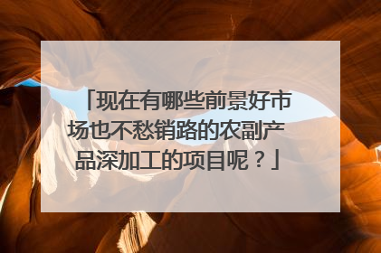 现在有哪些前景好市场也不愁销路的农副产品深加工的项目呢？