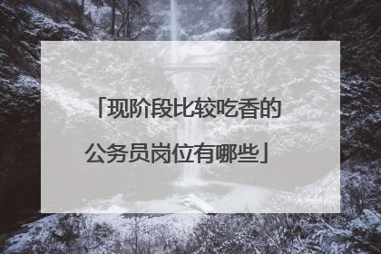 现阶段比较吃香的公务员岗位有哪些