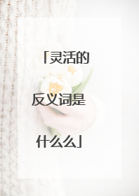 灵活的反义词是什么么