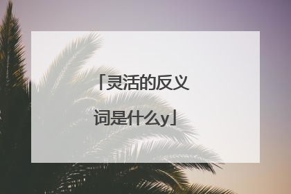 灵活的反义词是什么y
