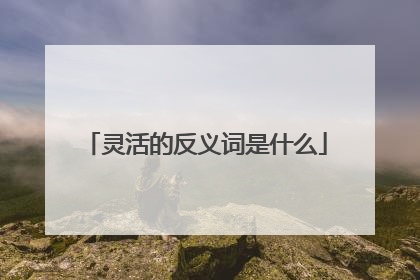 灵活的反义词是什么