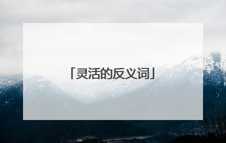 灵活的反义词