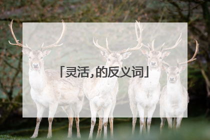 灵活,的反义词