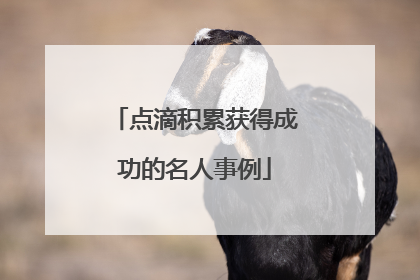 点滴积累获得成功的名人事例