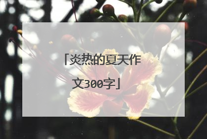 炎热的夏天作文300字