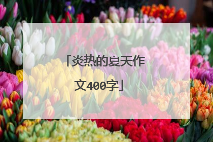 炎热的夏天作文400字