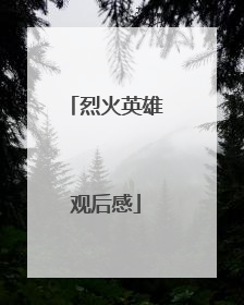 烈火英雄观后感