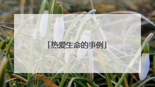 热爱生命的事例