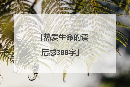 热爱生命的读后感300字