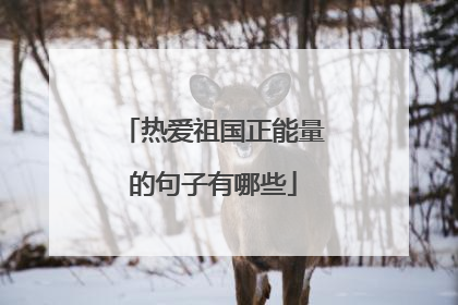 热爱祖国正能量的句子有哪些