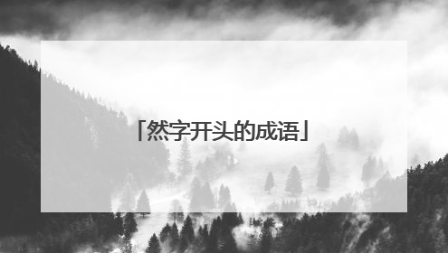 然字开头的成语