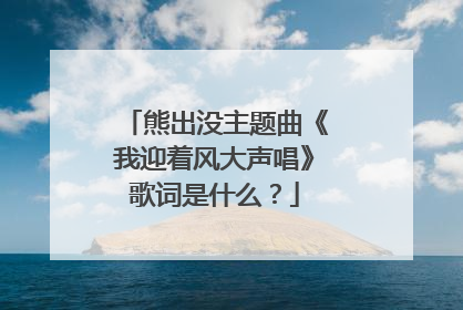 熊出没主题曲《我迎着风大声唱》歌词是什么？