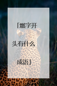 燃字开头有什么成语