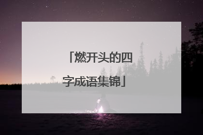 燃开头的四字成语集锦