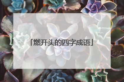 燃开头的四字成语