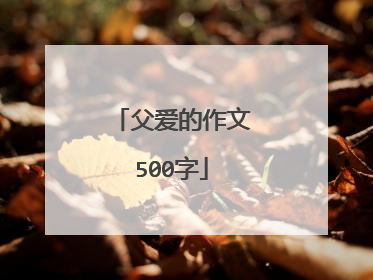 父爱的作文500字
