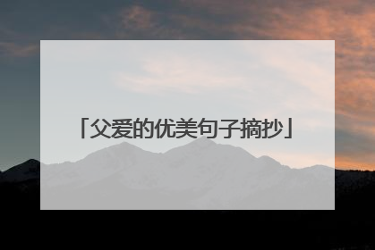 父爱的优美句子摘抄