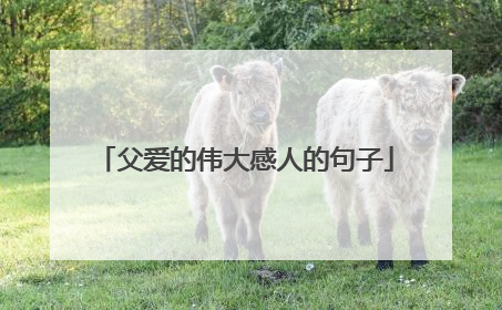 父爱的伟大感人的句子