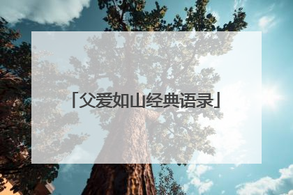 父爱如山经典语录