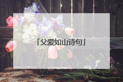 父爱如山诗句