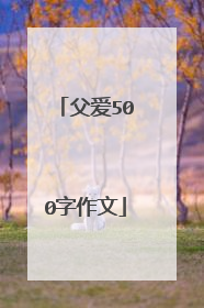 父爱500字作文