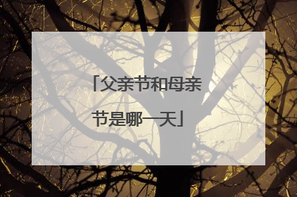 父亲节和母亲节是哪一天