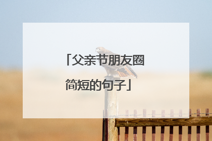 父亲节朋友圈简短的句子