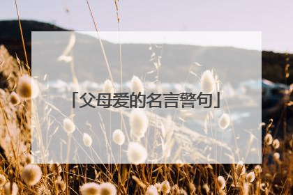父母爱的名言警句