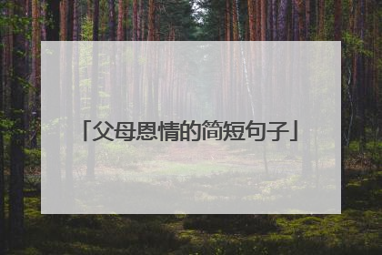 父母恩情的简短句子